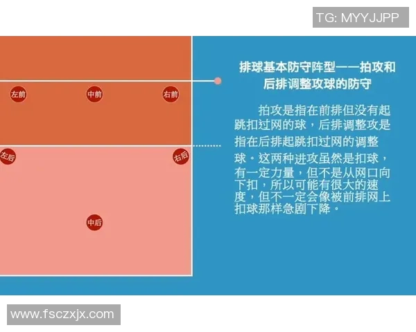 深圳排球队反击战术解析与实战应用探讨 深圳排球队反击战术解析与实战应用探讨