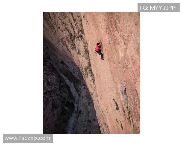 上海攀岩队个人能力提升之路与团队协作的完美结合 上海攀岩队个人能力提升之路与团队协作的完美结合