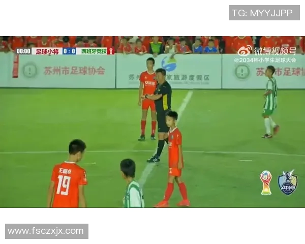 遗憾落幕的足球明星背后的故事与未竟的梦想 遗憾落幕的足球明星背后的故事与未竟的梦想