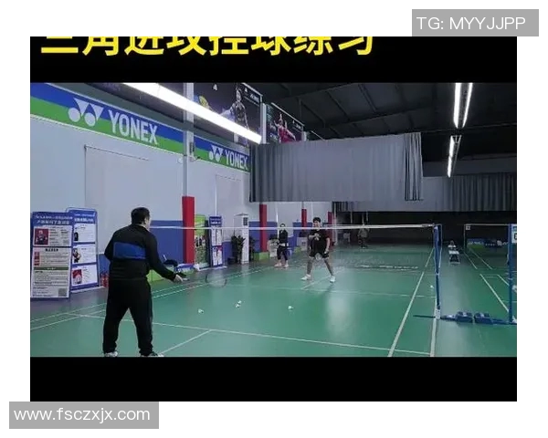 世界锦标赛点评：北京羽毛球队的战术表现