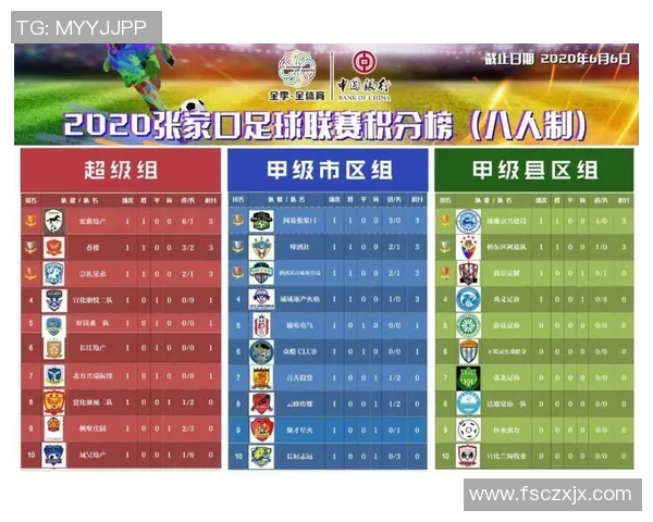 南京羽毛球队在世界锦标赛积分榜上以65分稳居第一名展现强大实力